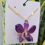 Orquídea Dendrobium