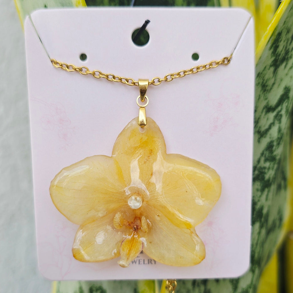 Collar orquídea Phalaenopsis