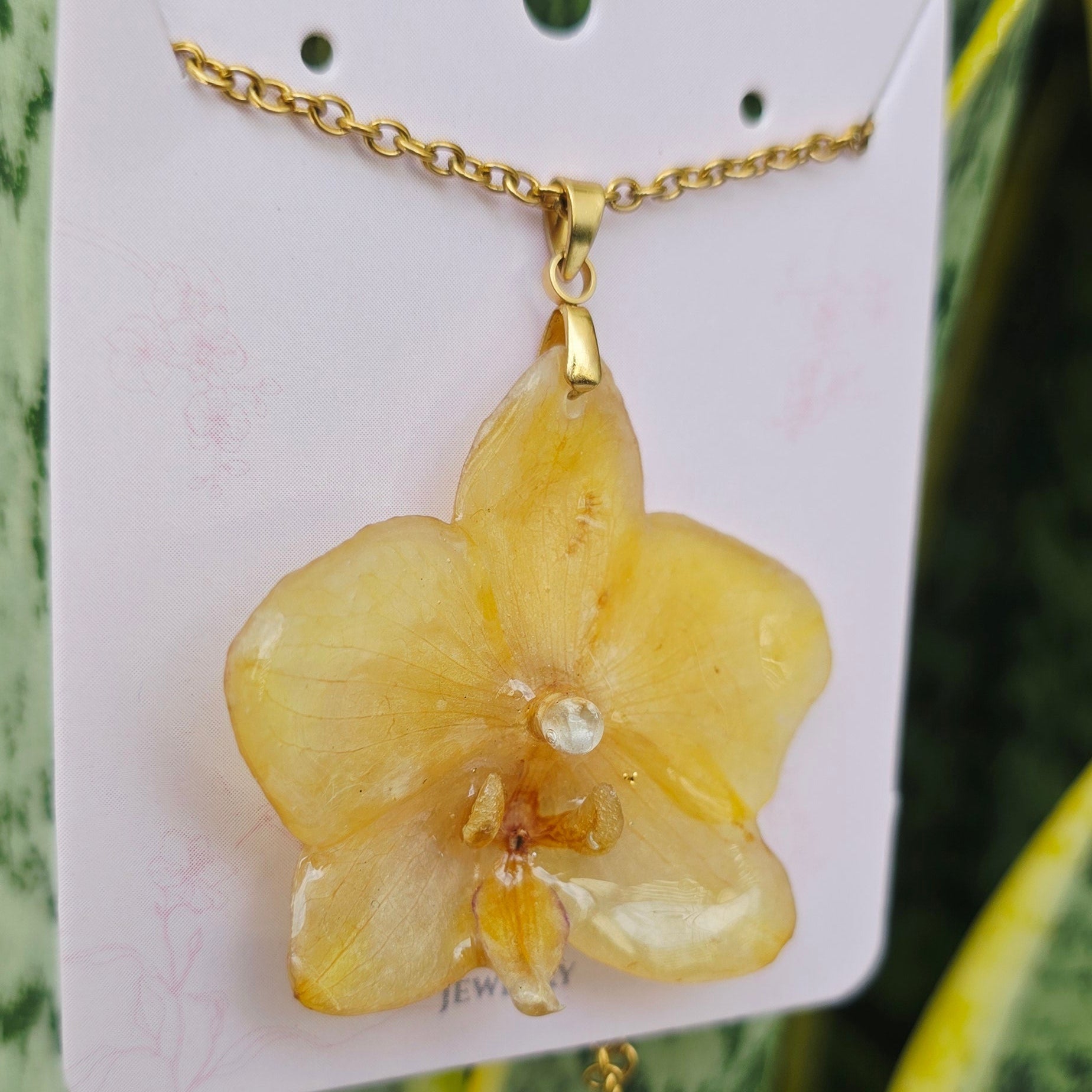 Collar orquídea Phalaenopsis