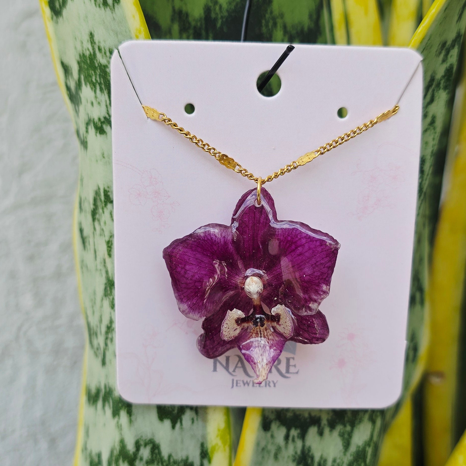 Collar orquídea Phalaenopsis