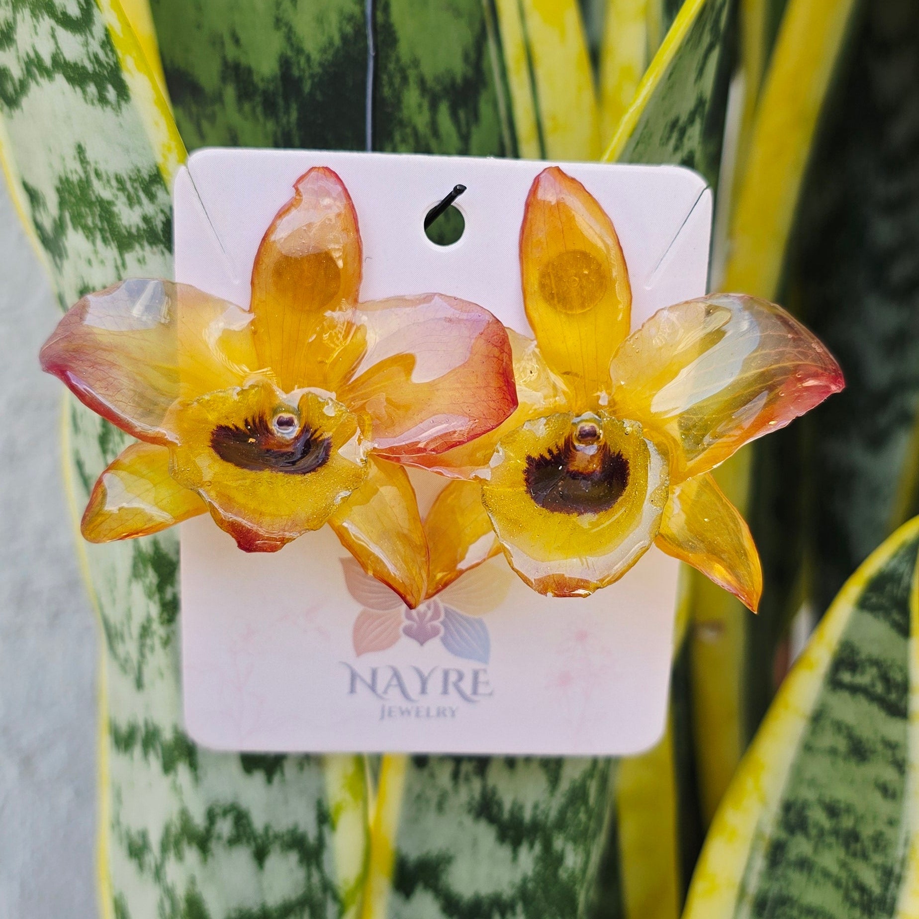 Topos Dendrobium