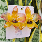 Topos Dendrobium