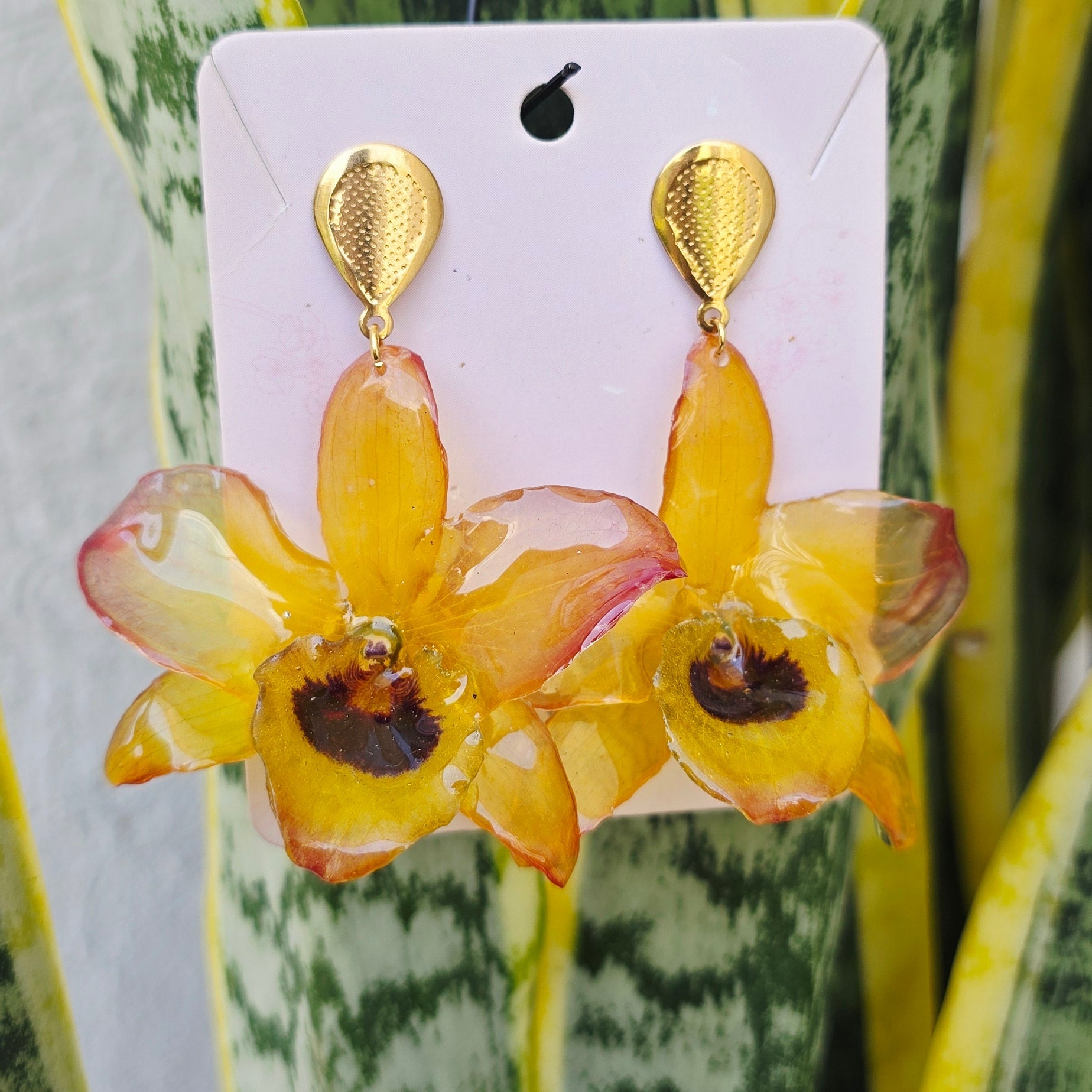 Aretes Dendrobium