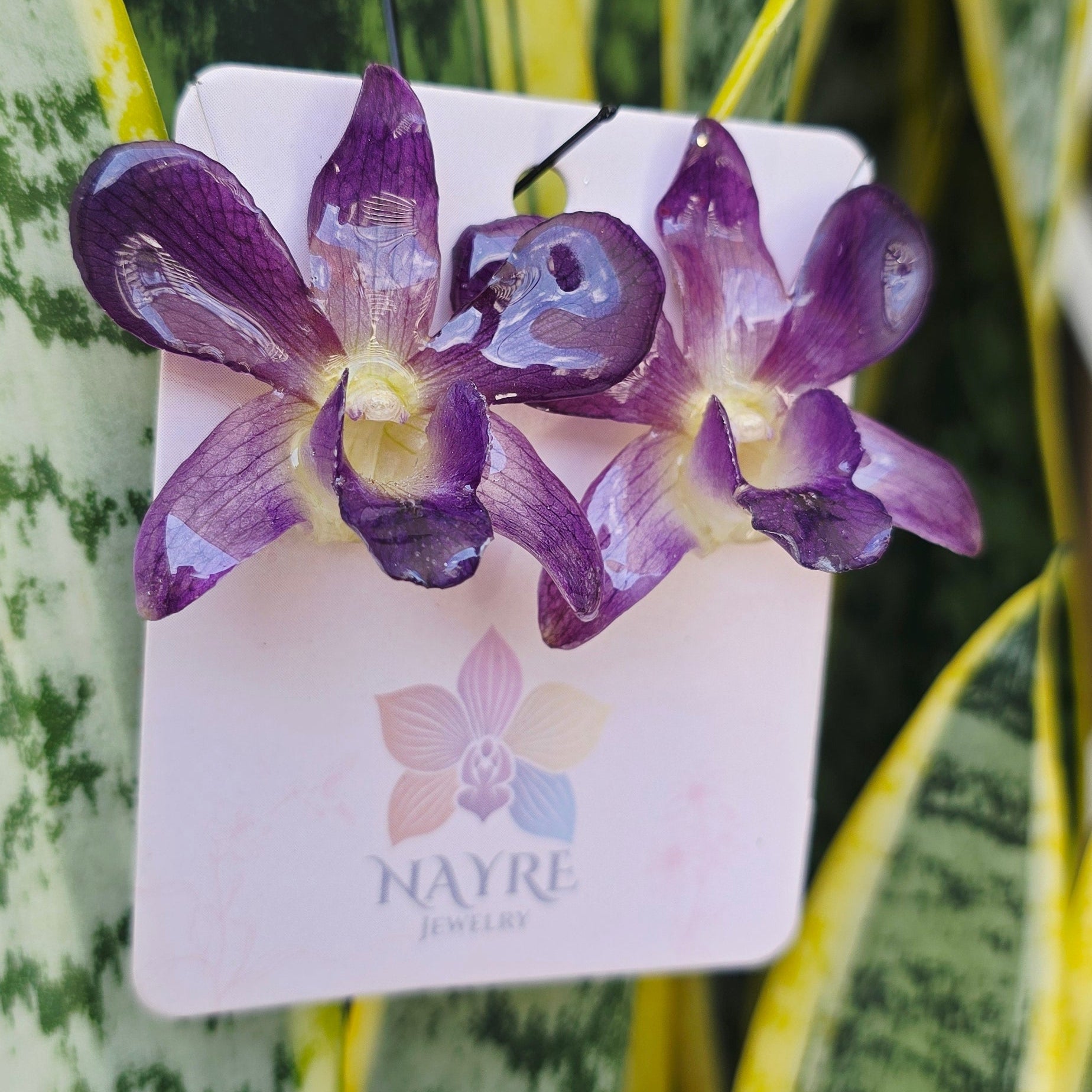 Topos Dendrobium