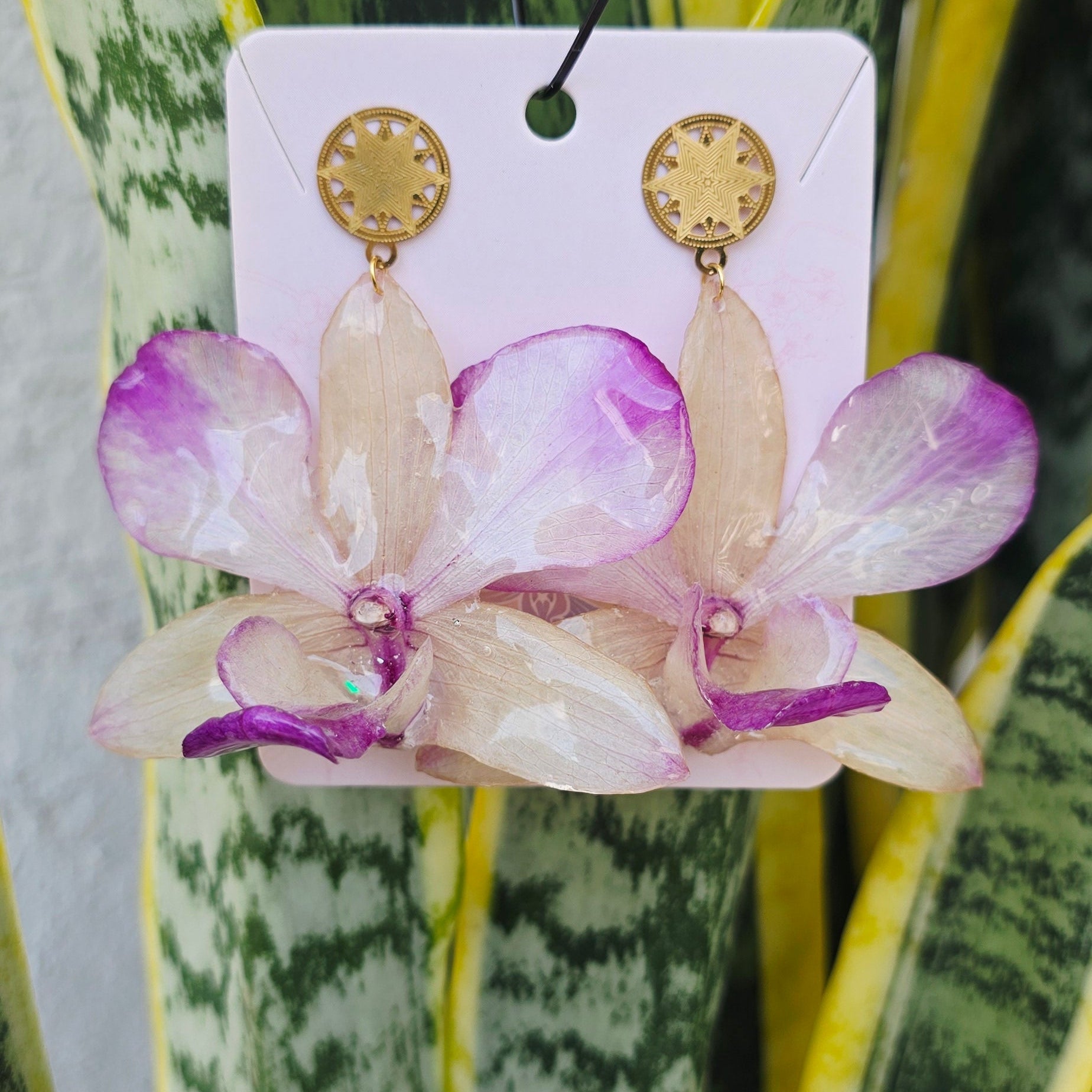 Aretes Dendrobium