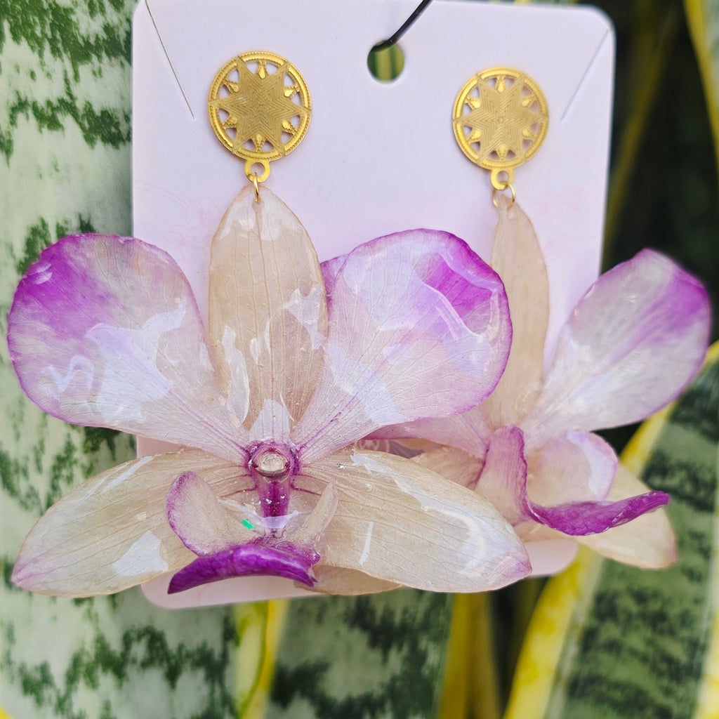 Aretes Dendrobium