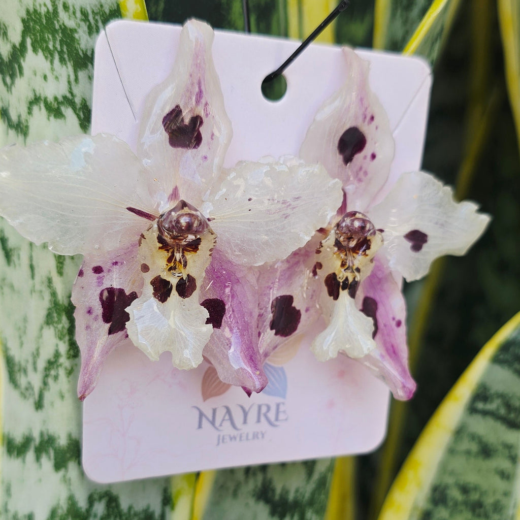 Topos Odontoglossum