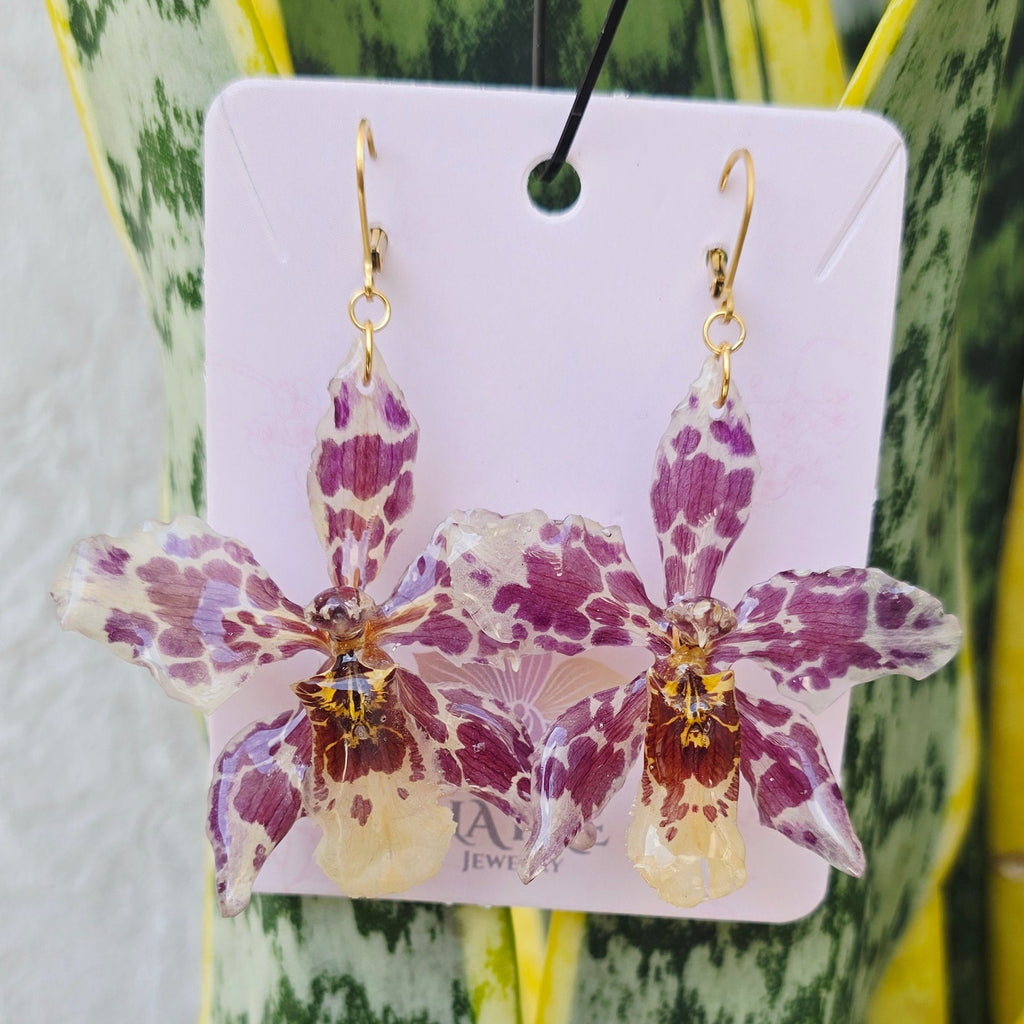 Aretes Odontoglossum