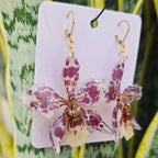 Aretes Odontoglossum