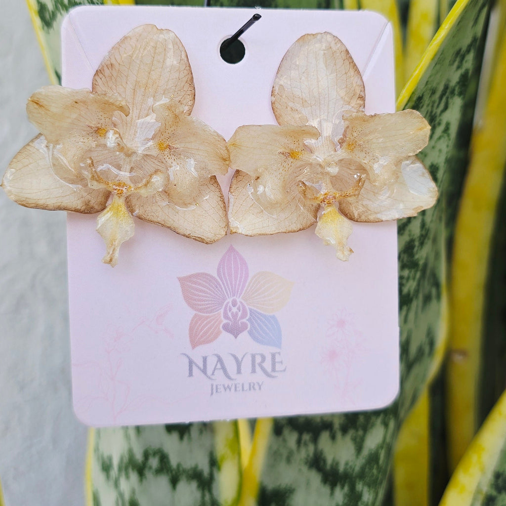 Topos Orquídea Phalaenopsis