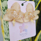 Topos Orquídea Phalaenopsis