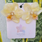 Topos orquídea Phalaenopsis medianos