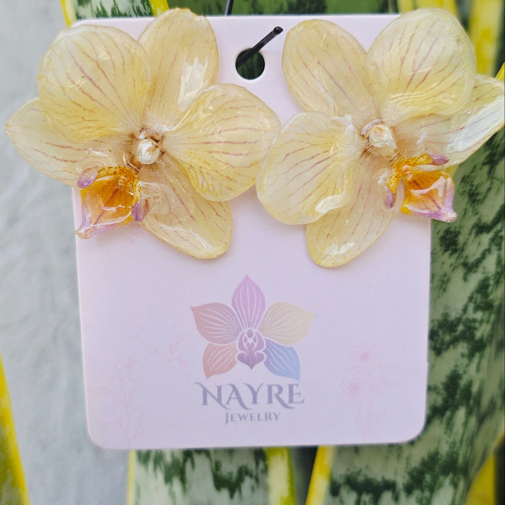 Topos Orquídea Phalaenopsis