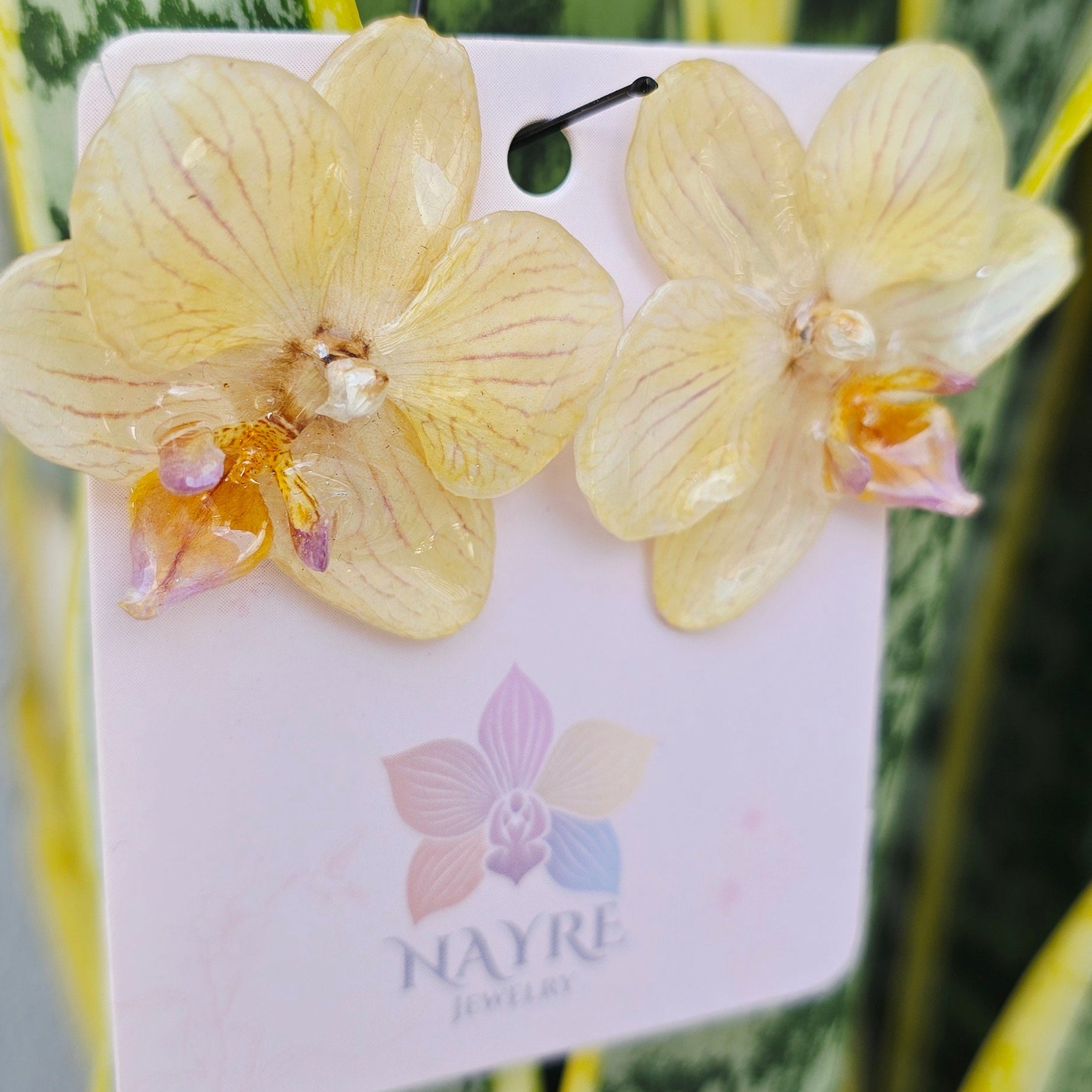 Topos Orquídea Phalaenopsis