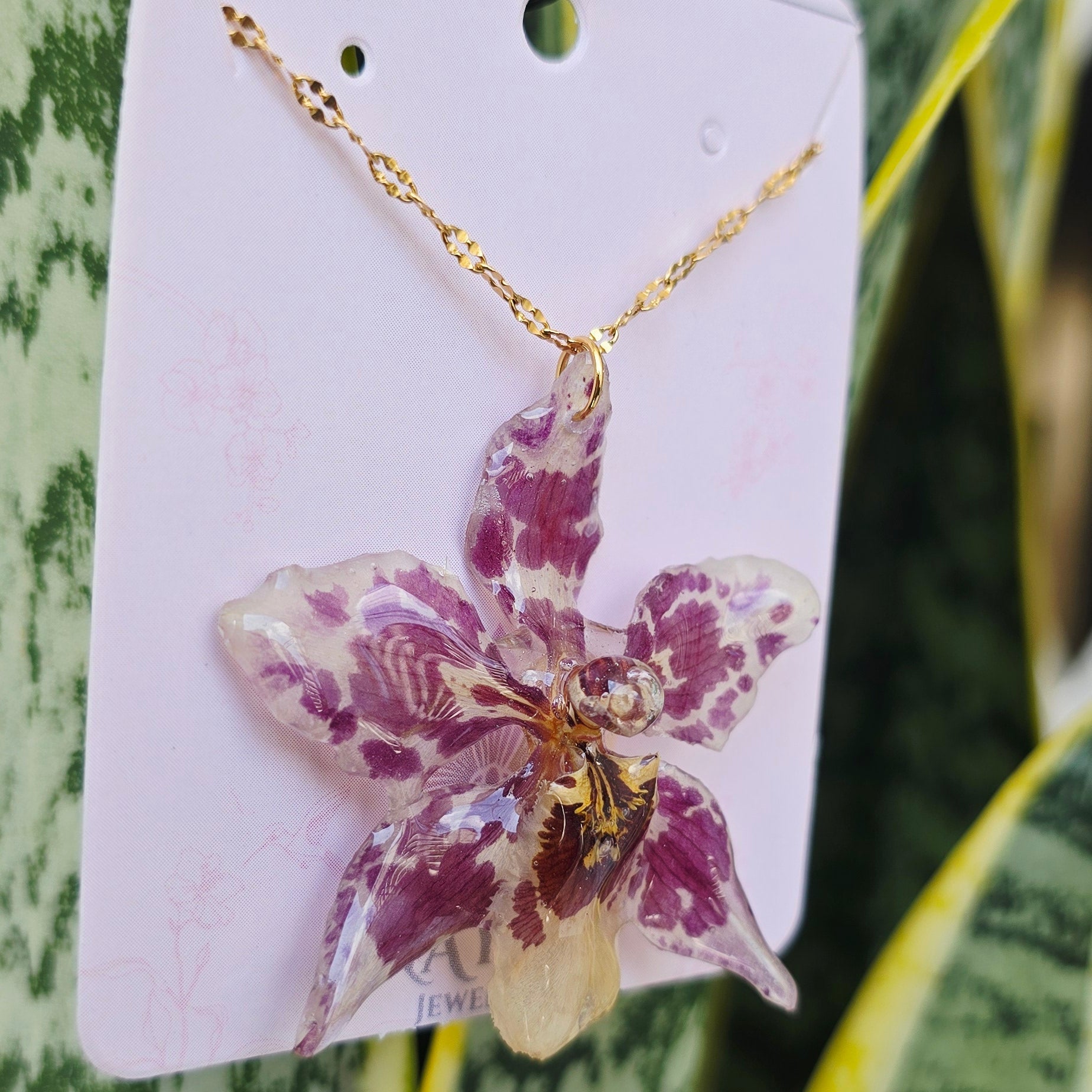 Collar orquídea Odontoglossum