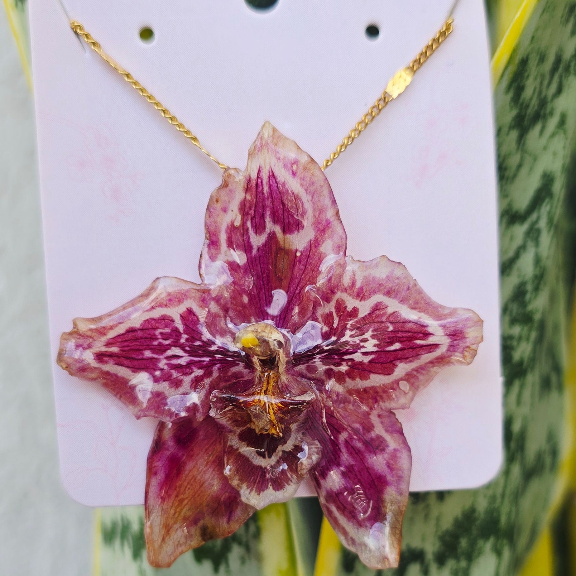 Collar orquídea Odontoglossum