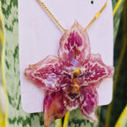 Collar orquídea Odontoglossum