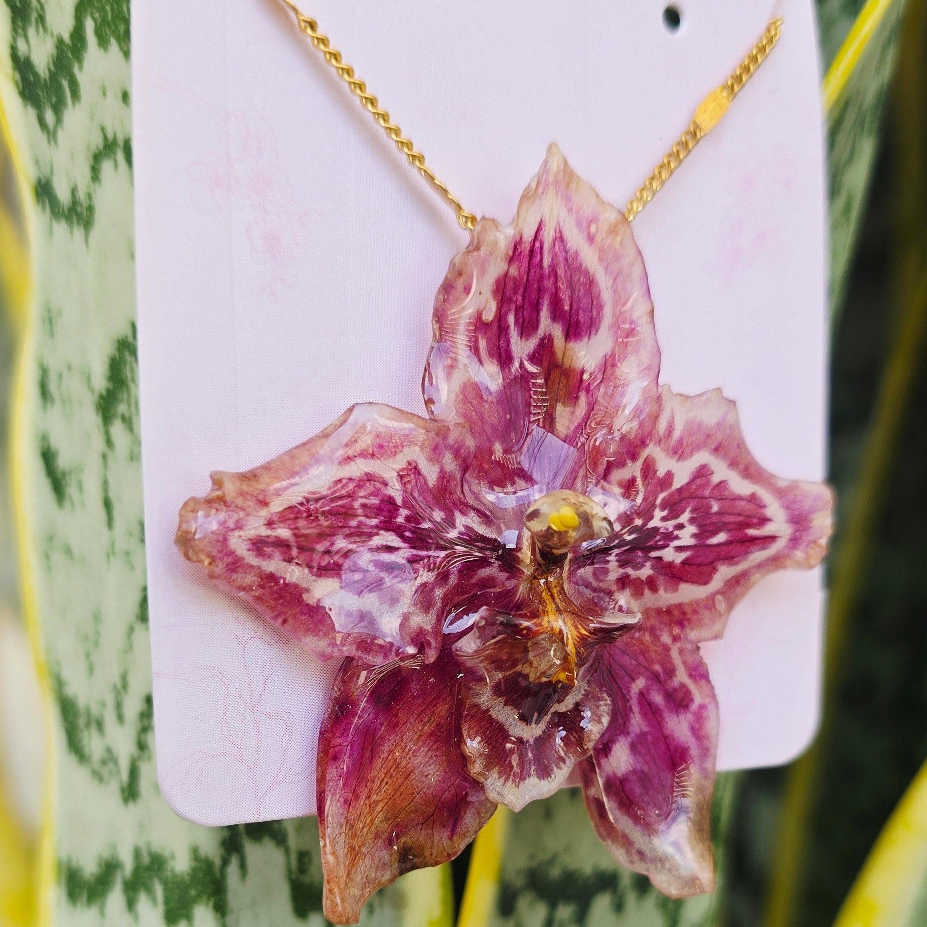 Collar orquídea Odontoglossum