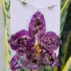 Collar orquídea Odontoglossum