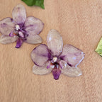 Topos orquídea Phalaenopsis