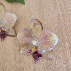 Topos orquídea Phalaenopsis