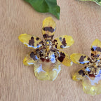 Topos orquídea Colmanara