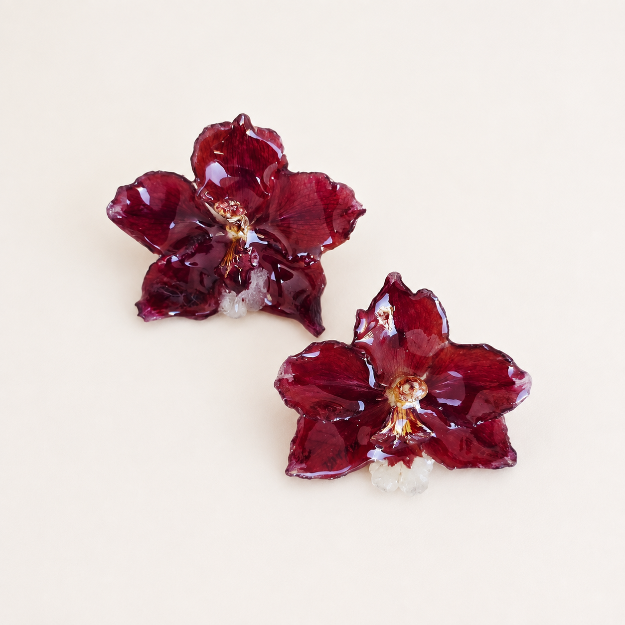 Topos orquídea Odontoglossum