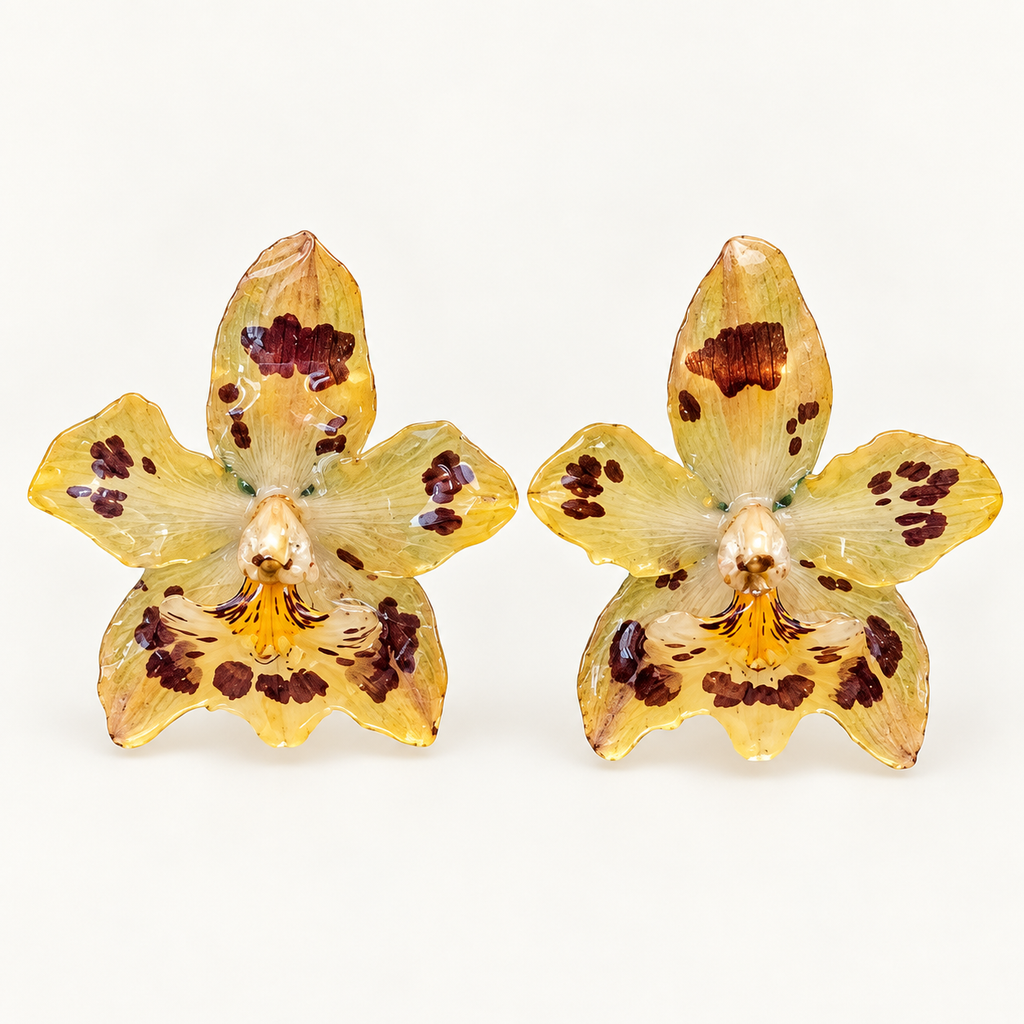 Topos orquídeas Odontoglossum
