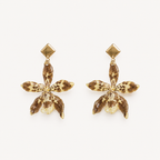 Aretes Odontoglossum