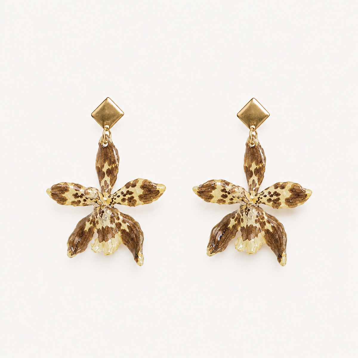 Aretes Odontoglossum