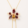 Collar ajustable orquídea Odontoglossum