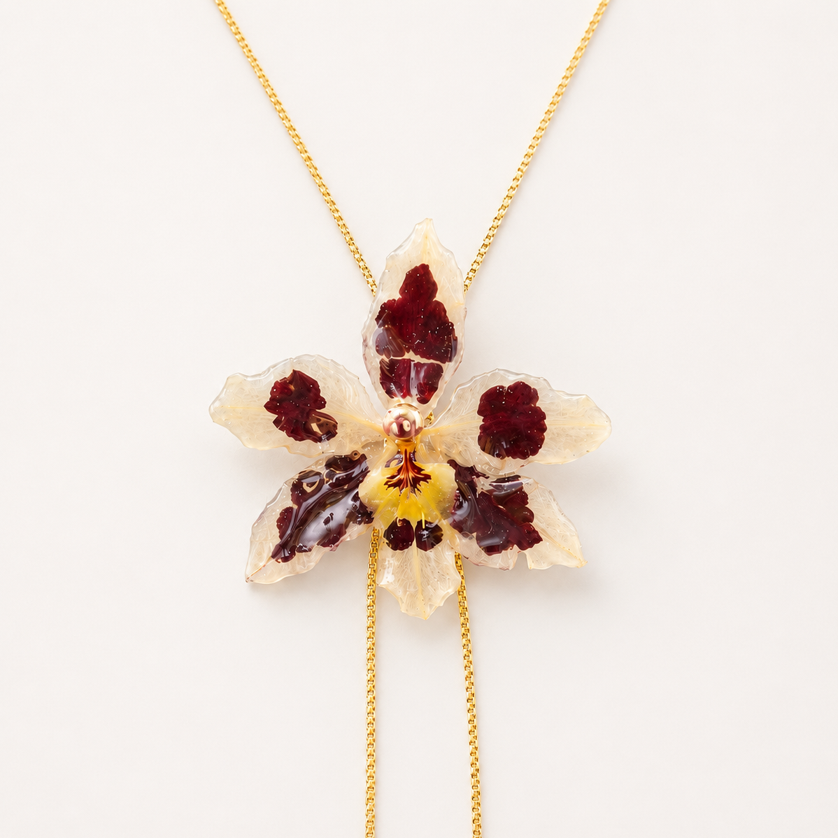 Collar ajustable orquídea Odontoglossum