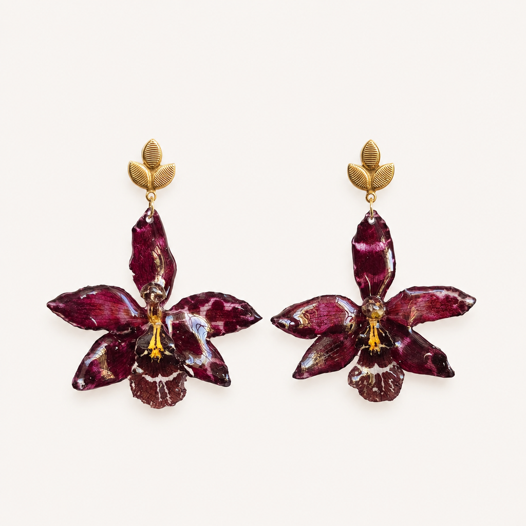Aretes Odontoglossum
