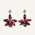 Aretes Odontoglossum