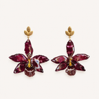 Aretes Odontoglossum