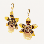 Aretes orquídea Colmanara