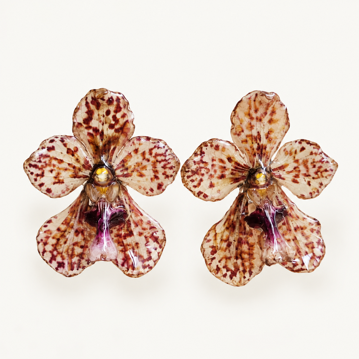 Topos orquídeas Vanda