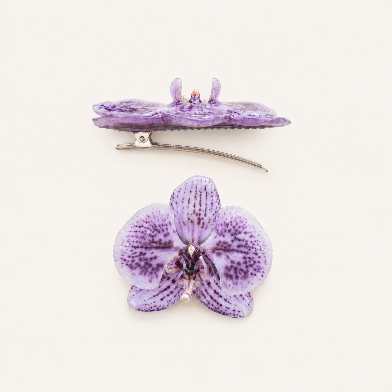 Pinza orquídea Phalaenopsis