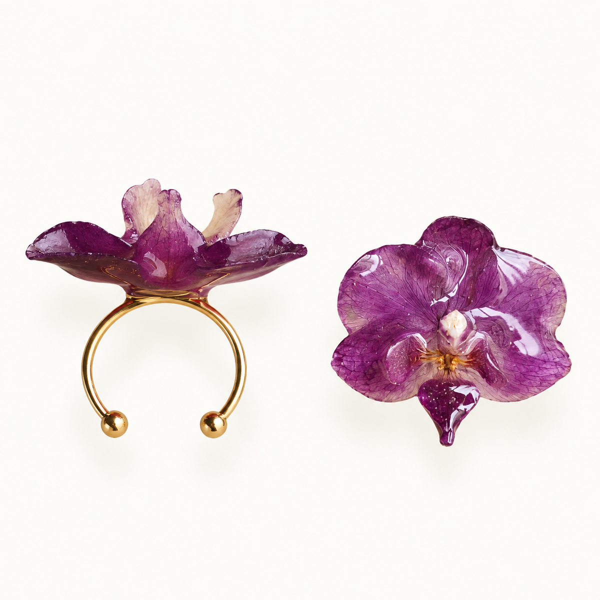 Anillo de Orquídea Phalaenopsis