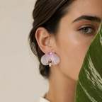 Topos Orquídea Phalaenopsis