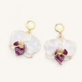 Aretes Orquídea Phalaenopsis