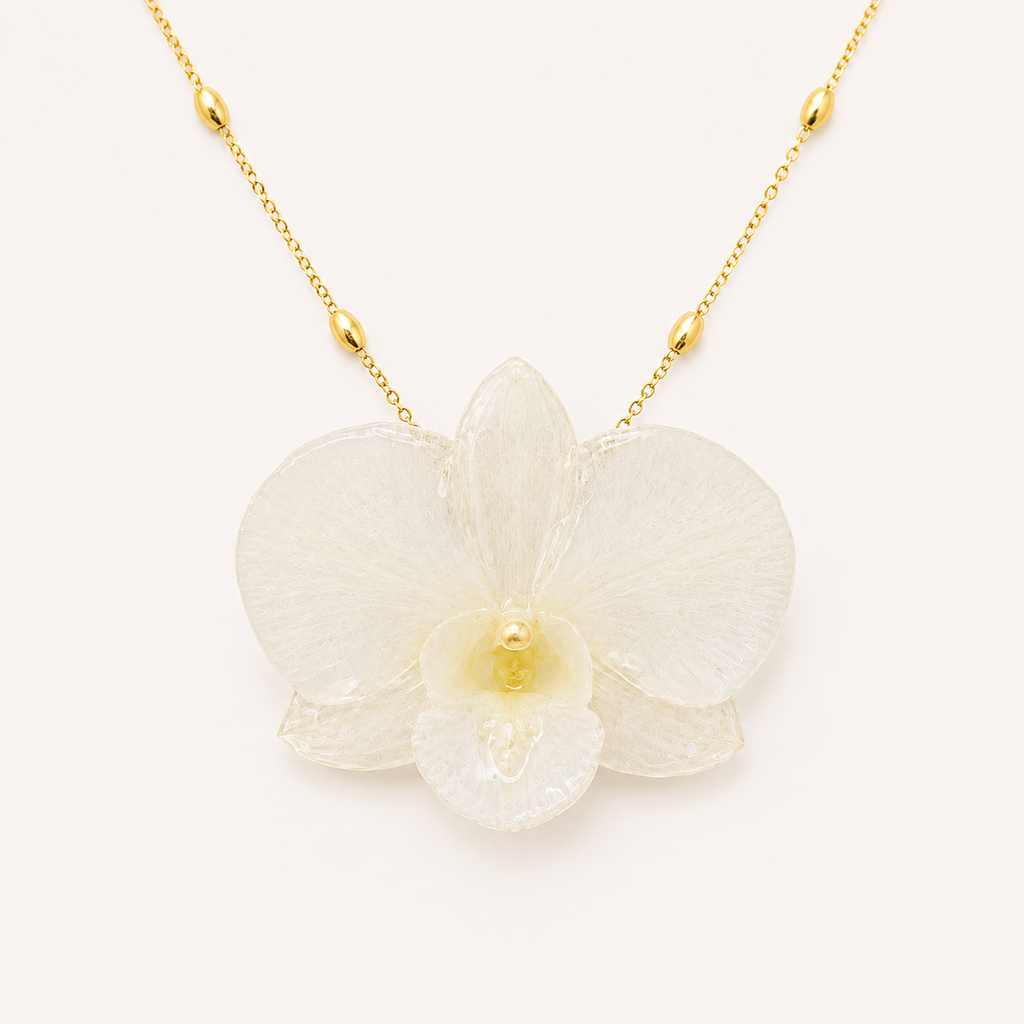 Orquídea Dendrobium