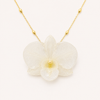 Orquídea Dendrobium