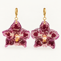 Topos orquídeas Odontoglossum