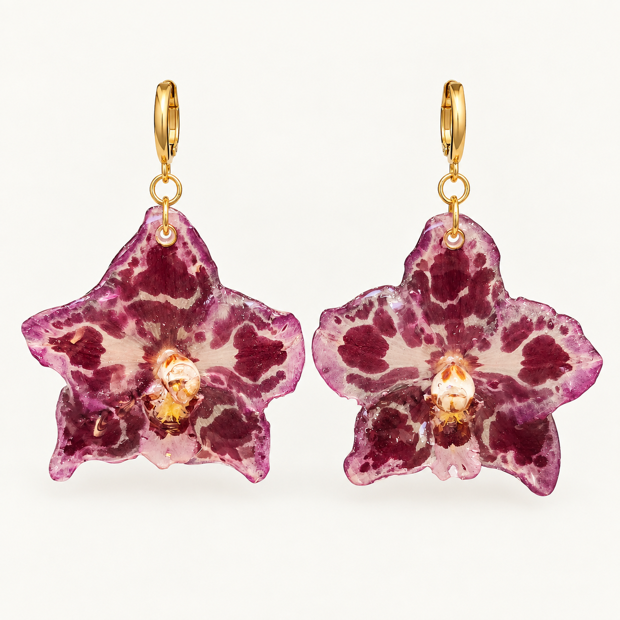 Topos orquídeas Odontoglossum