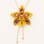 Collar ajustable orquídea Odontoglossum