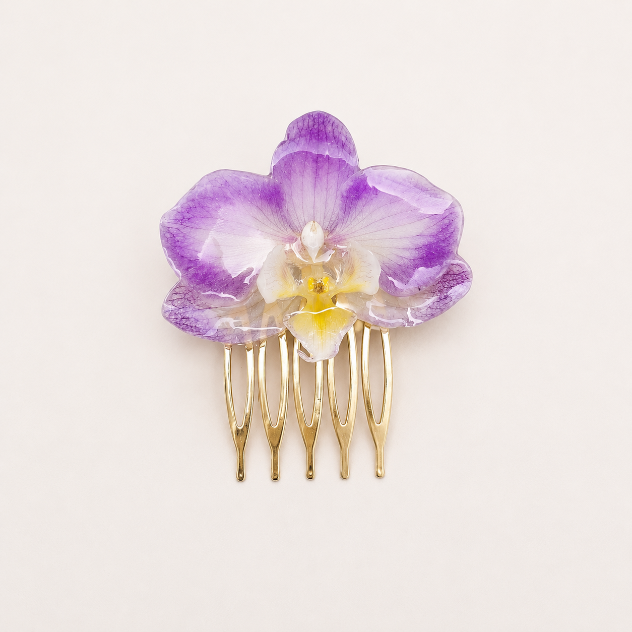Pinza orquídea Phalaenopsis
