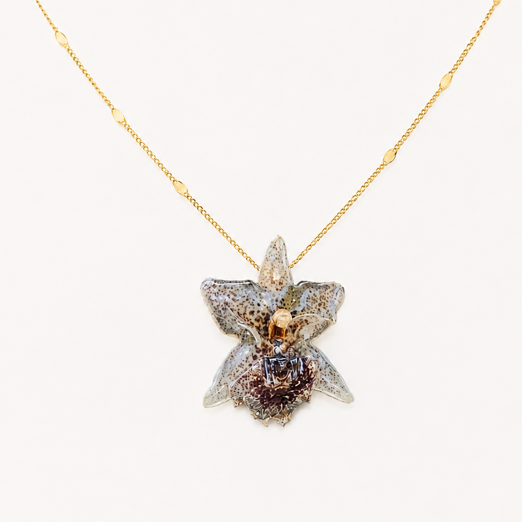 Collar orquídea Kefersteinia