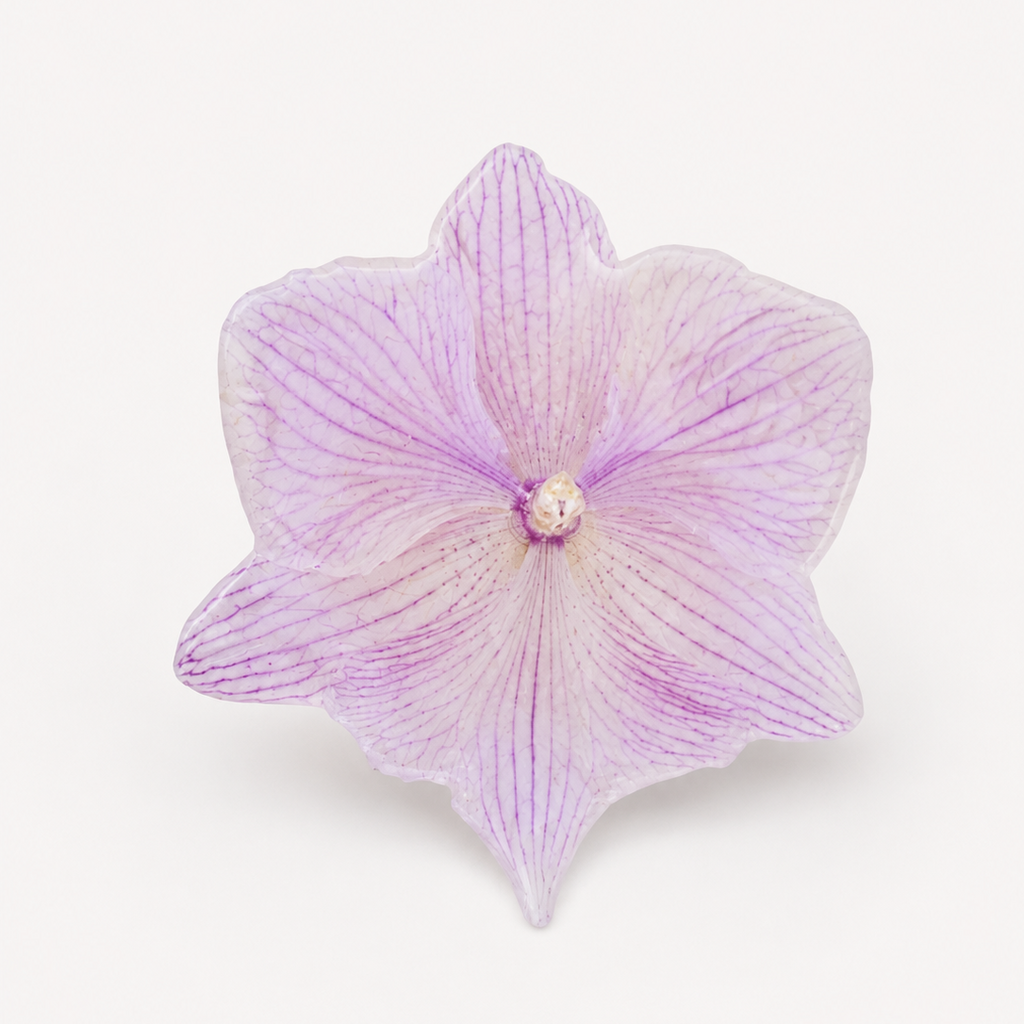 Anillo de Orquídea Phalaenopsis
