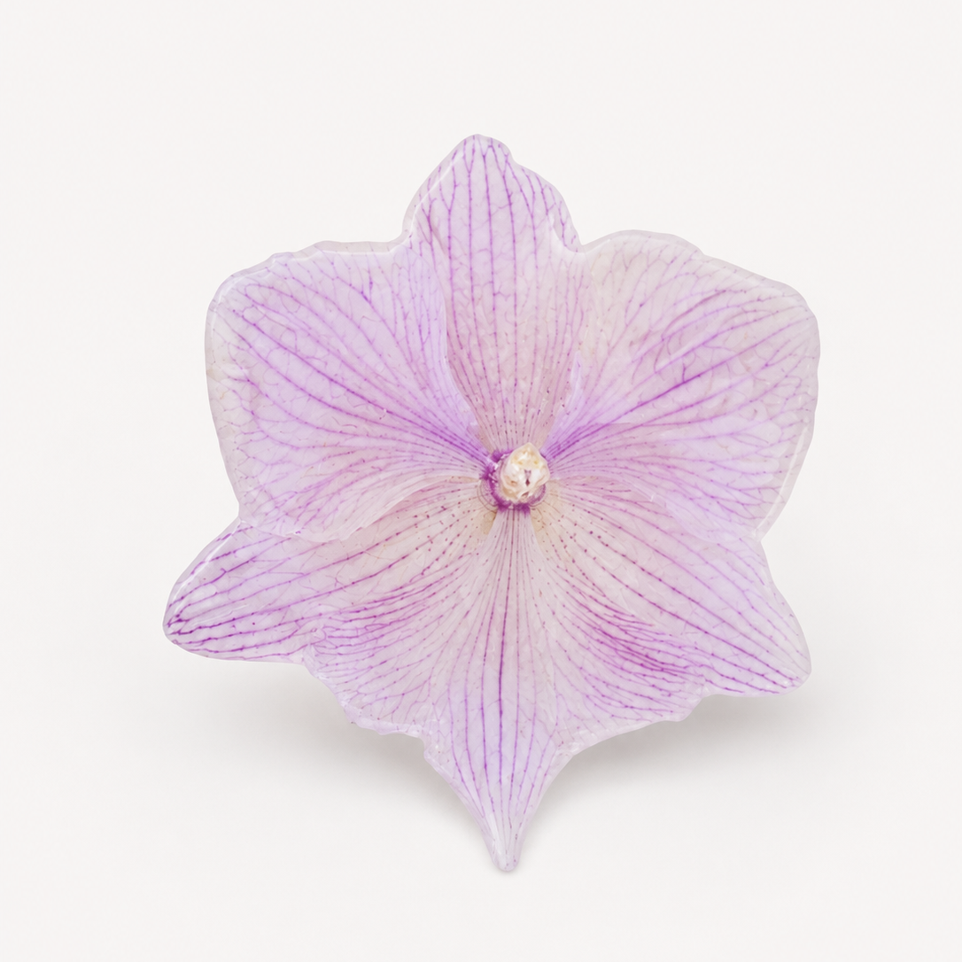 Anillo de Orquídea Phalaenopsis